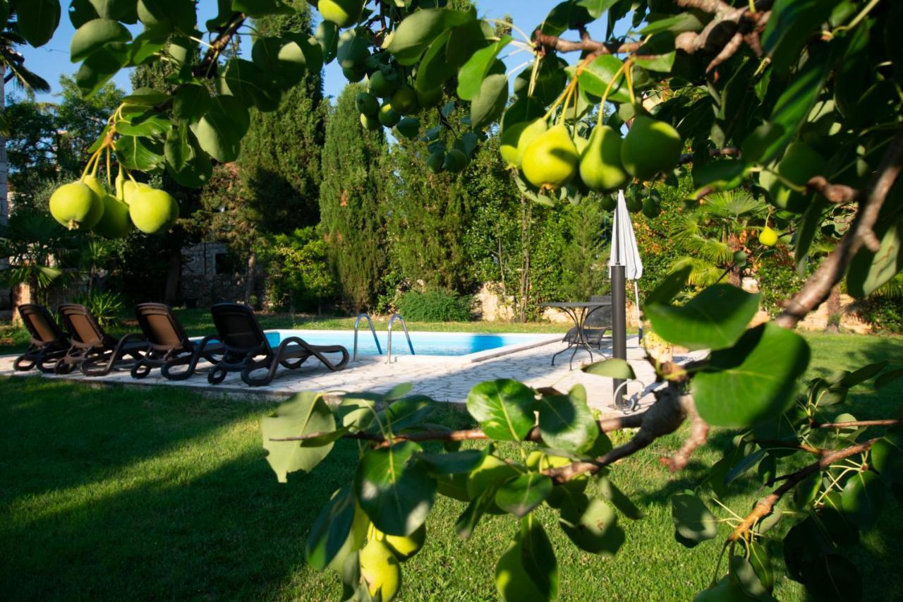 Villa Micheline Kosinozici Eksteriør billede